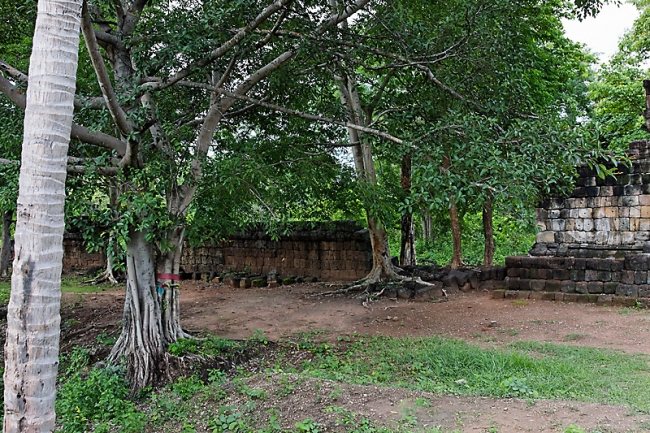 29-Prasat Sdok Kok Thom (2009)-010